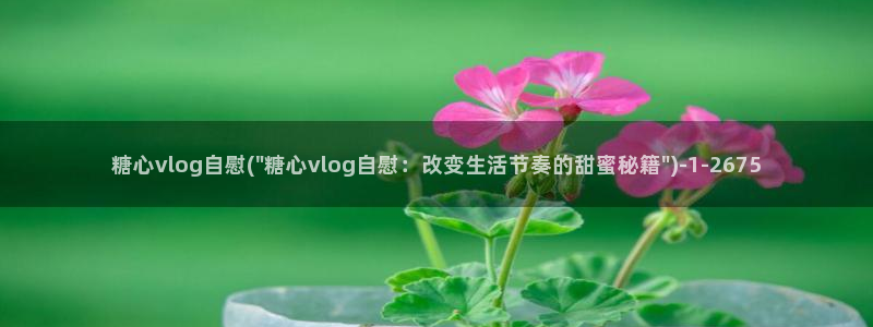 糖心vlog污ios:糖心vlog自慰(