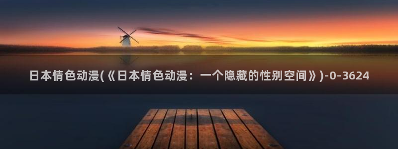 耽美动漫:日本情色动漫(《日本情色动漫:一个隐藏的性别空间》)